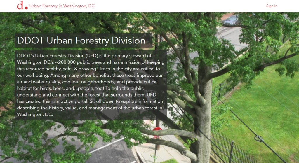 urban forestry intro