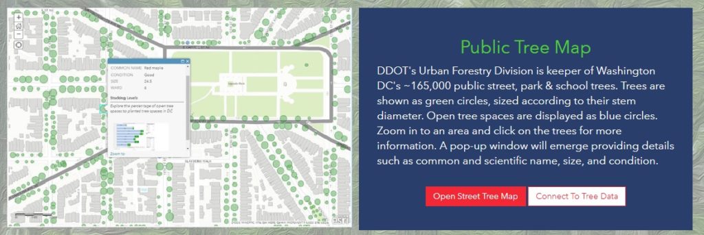 public tree map