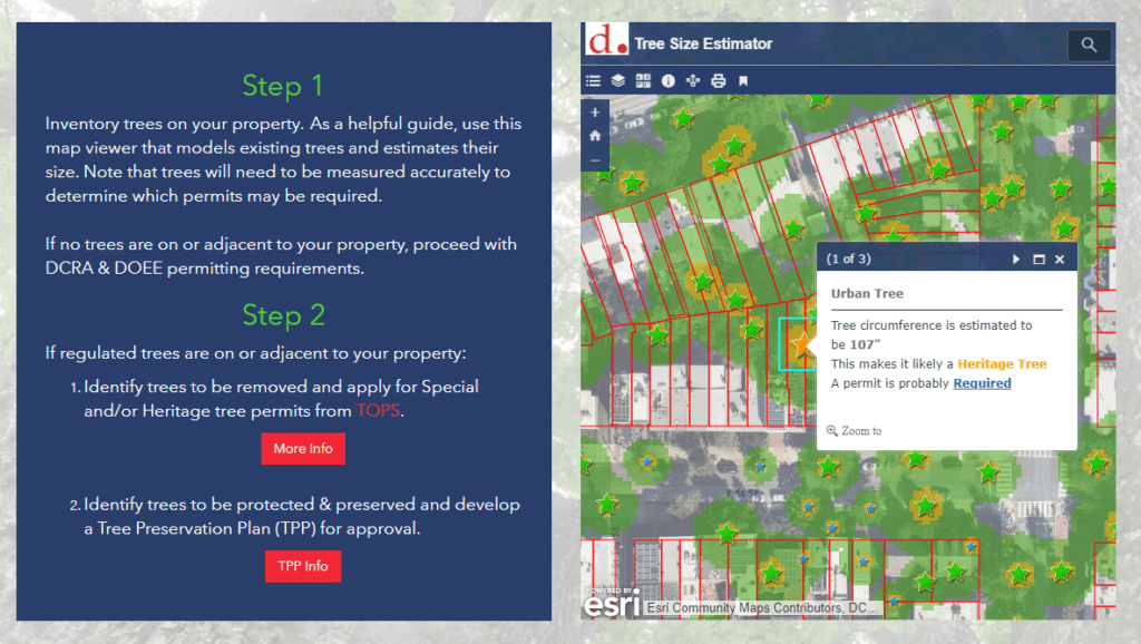 tree preservation hub site